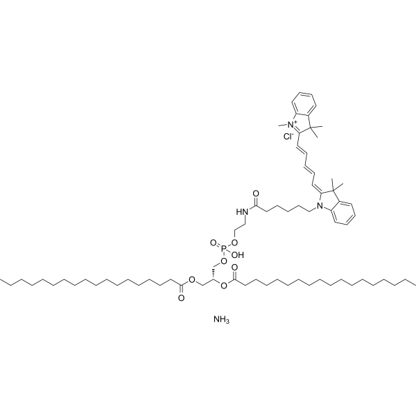 Cy5-DSPE chloride ammonium 2260669-69-8